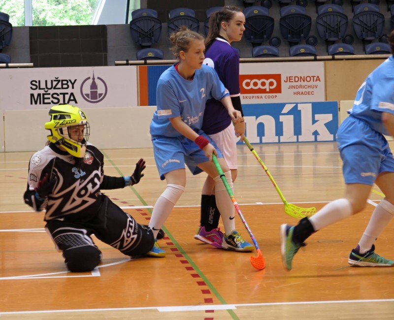 Nové tváře Hipposu nastupují - díl 2: Květinka / vybery02.jpg