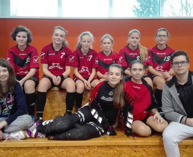 Starší žákyně stoprocentní / starší žákyně - Dolní Cerekev 01