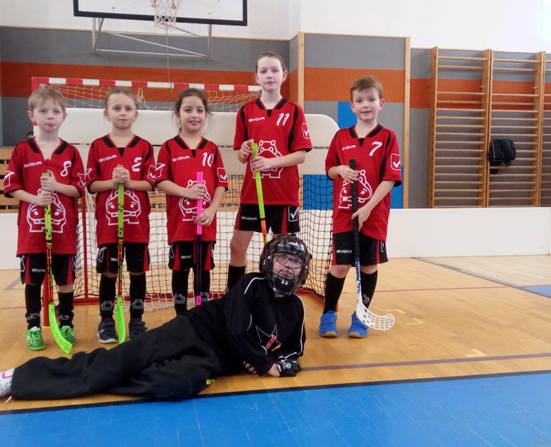 Přípravka bodovala v Bystřici i Pacově / 2018-01-21-Pacov