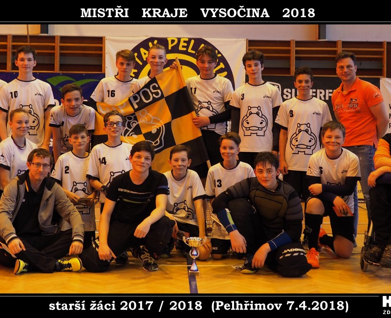 STARŠÍ ŽÁCI JSOU MISTŘI KRAJE VYSOČINA !!! / 2018-04-07 Mistři kraje Vysočina