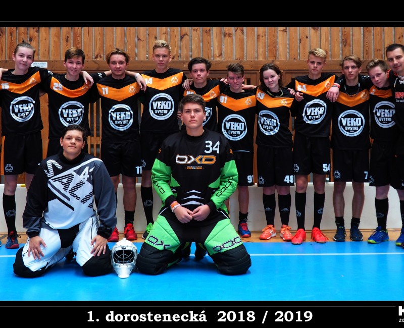 A-tým bude dál bojovat o udržení. Dorostence čeká play-off. / 18-10-14-1.dorci.JPG