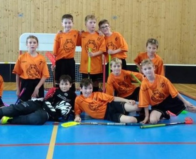 Přípravka v neděli 25.11.2018 doma. Dalších šest družstev o víkendu venku. / elévové 2018/2019