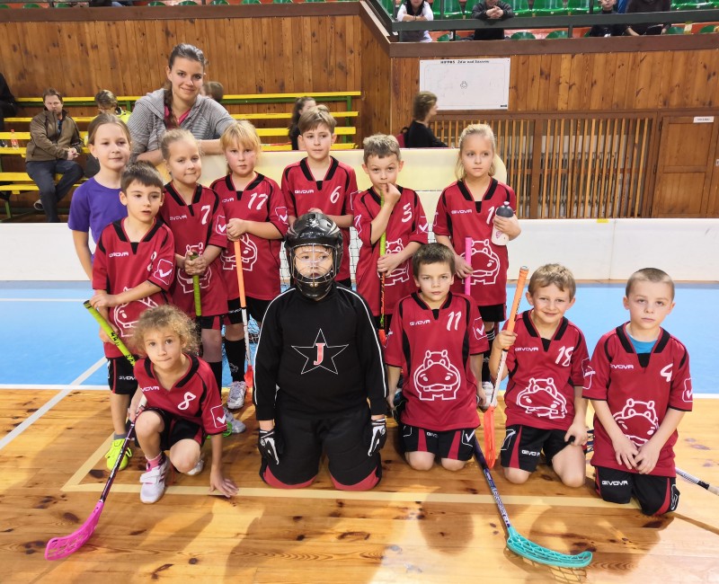 Přípravka ovládla domácí turnaj / Přípravka B - Žďár nad Sázavou - 2018-11-25
